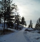 Nearing home – on,&nbsp;on…