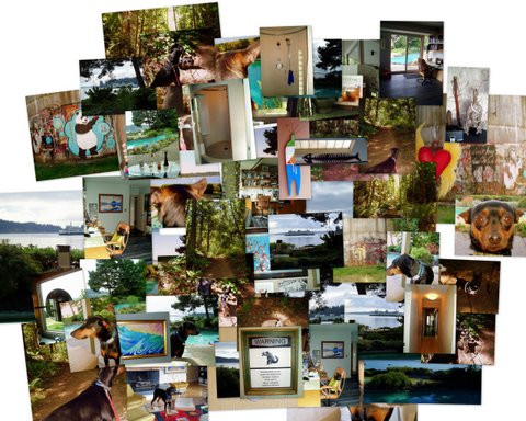 Where sea meets land