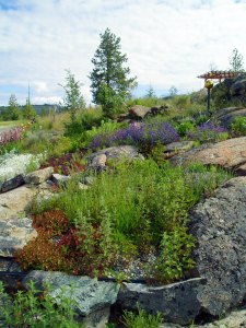 Landscape dictates plantings.