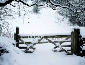 Snow gate