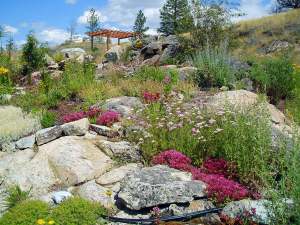 When process & purpose come together