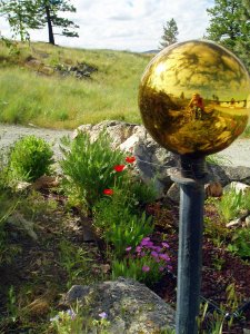 Reflections of beauty