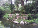 Tiger enclosure