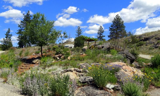 Texture & color at solstice