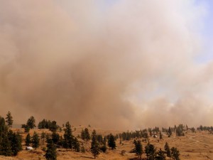 Coming over the hills