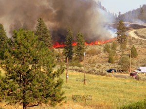 Line of approaching flame