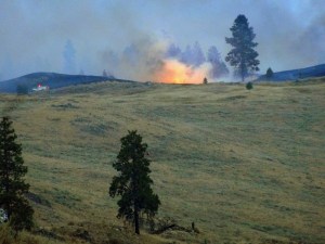 Not a thing of beauty