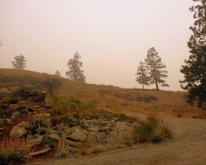 Trying not to inhale