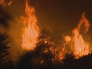 Wildfire at night