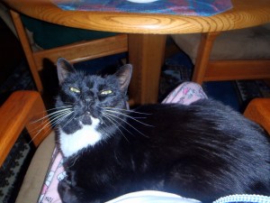 Pink love bunny jammies