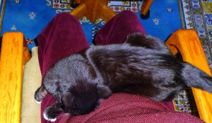 Plushie garnet jammies