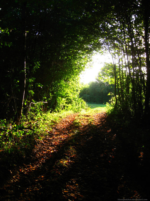 Light at the end of the tunnel by Kleineputchen